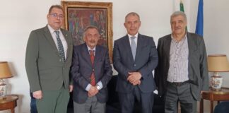 Portugal: Federação das Associações da Diáspora vai anunciar rede de “mandatários internacionais” durante encontro em Viseu