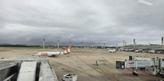 Brasil proíbe entrada de produtos suínos e reforça restrições a alimentos na bagagem de viajantes