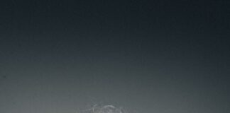 Lisboa: Afonso Borges apresenta “Tardes Brancas” a 16 de abril