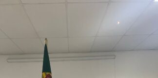 Portugal: Emídio Sousa marca presença histórica no Conselho Regional de África do CCP