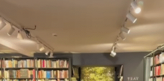 Lisboa: Debate sobre guerra, diplomacia e distopias marca noite na Livraria da Travessa