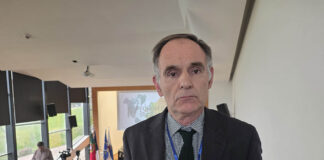 Presidente da AIMA defende reforço da cooperação nos Açores e aposta na digitalização dos serviços migratórios