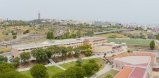 PIAGET é a única instituição em Portugal com licenciatura em Medicina Tradicional Chinesa reconhecida pela Direção-Geral do Ensino Superior