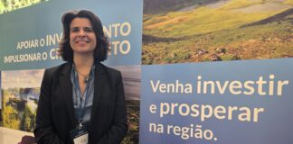 “Portugal Nação Global”: Diretora de serviços da “Invest in Azores” sublinha que a diáspora continua a ser um “mercado estratégico” para a captação de investimento e projeção económica internacional dos Açores