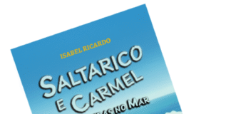 Autora portuguesa lança livro infantil bilíngue inspirado em digressões nos EUA