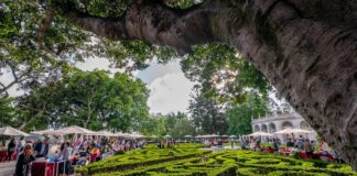 Portugal: Festa do Livro regressa aos jardins de Belém entre 17 e 20 de setembro