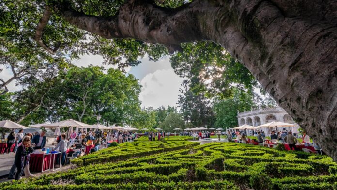 festa-do-livro-belem