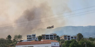 Portugal: Proteção Civil alerta para agravamento do perigo de incêndio rural e reforça medidas preventivas perante onda de calor intenso