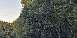 Portugal: Greve geral marca novo braço de ferro sobre a lei laboral no país