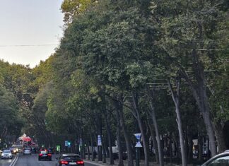 Portugal: Greve geral marca novo braço de ferro sobre a lei laboral no país