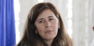 Opinião: “Portugal, Camões e Comunidades Portuguesas: Um Património Vivo no Brasil”, por Isabel Brilhante Pedrosa