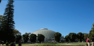 Porto: Jardins do Palácio de Cristal transformam-se numa aldeia literária para famílias com o “BIBLLIOTERRA”