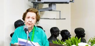 Rio de Janeiro: Academia Luso-Brasileira de Letras despede-se de Maria Amélia Amaral Palladino, aos 86 anos