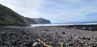 Açores: “Experience OC” promove ação de limpeza da orla marítima da Ilha das Flores em parceria com o projeto “The Trash Traveler”