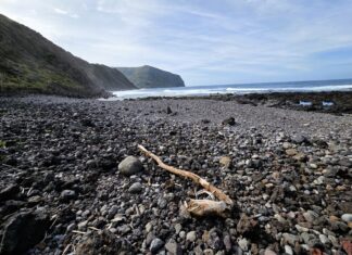 Açores: “Experience OC” promove ação de limpeza da orla marítima da Ilha das Flores em parceria com o projeto “The Trash Traveler”