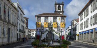 Eurodeputados da Comissão da Agricultura visitam os Açores para avaliar desafios da agricultura nas regiões ultraperiféricas