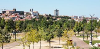 Viseu: Festival “Rock & Dão” estreia com música internacional, vinhos do Dão e gastronomia