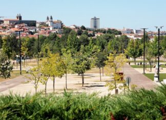 Viseu: Festival “Rock & Dão” estreia com música internacional, vinhos do Dão e gastronomia